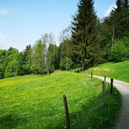 Mountain View In By Interlaken Appartamento