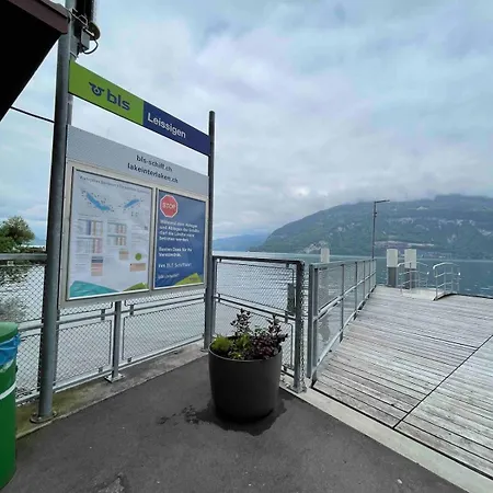 Mountain View In By Interlaken *