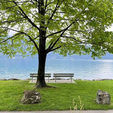 公寓 Mountain View In By Interlaken