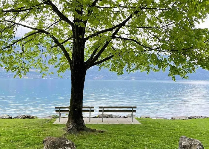 Appartement Mountain View In By Interlaken