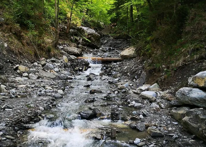 公寓 Mountain View In By Interlaken *