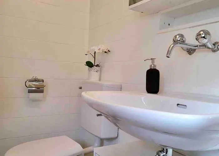 Mountain View In By Interlaken * 莱西根