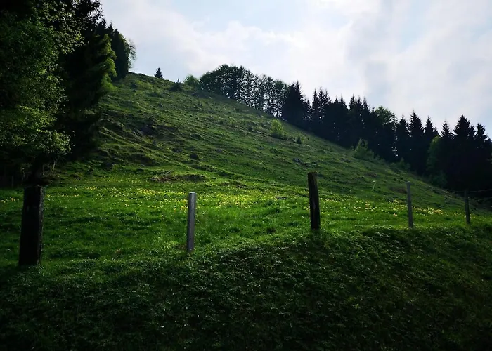 Mountain View In By Interlaken 公寓