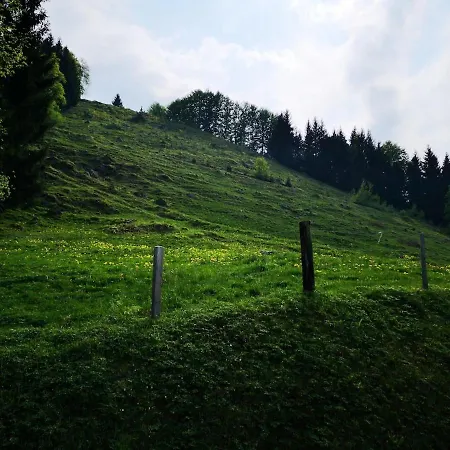 Mountain View In By Interlaken Apartament